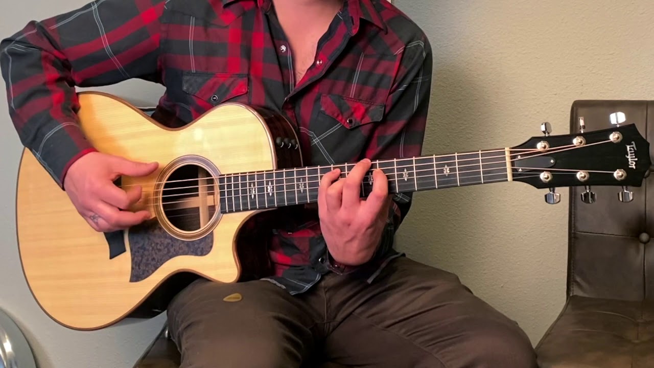 スプルース − アコースティックギターの定番トップ材 | ギタコン