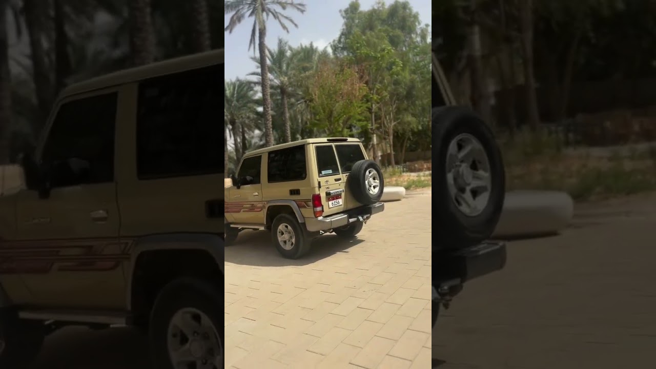 في واحت العين