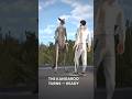 Man Punches Kangaroo to Save Dog #kangaroo #rescuedog #dog