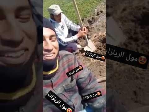 احفر الحفرة يافتحي المقطع الأصلي