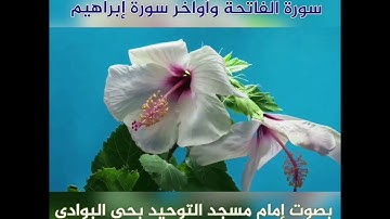فجرية الجمعة ٠٩ شوال ١٤٤٢هـ سورة الفاتحة وأواخر سورة إبراهيم من آية ٤٢ إلى آية ٥٢