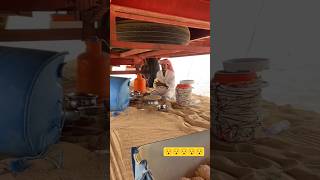 Viral Camel Farming🐪 #shorts #ytshorts #viral