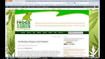 WordPress: How To Div a Toggle Show/Hide on WordPress - eHow Tech Video Series