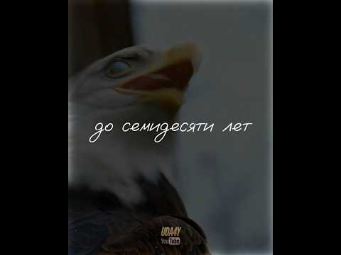Сломай старого себя