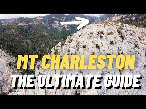 EVERYTHING You Need to Know About MOUNT CHARLESTON, Nevada!