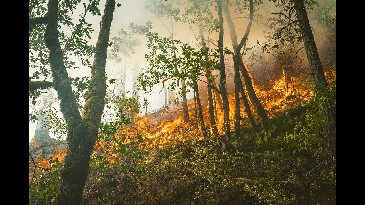 Conflict and Climate Change: confronting the uncomfortable future