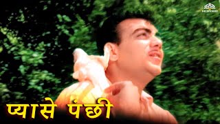 Evergreen Bollywood Romantic Songs – Mehmood के दिल छू लेने वाले गाने ❤️
