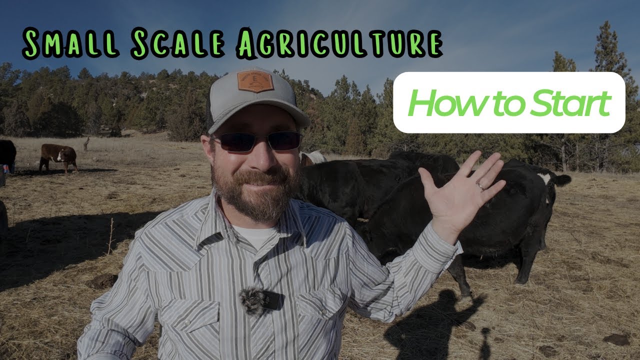 Welcome to Broken Arrow Farm 