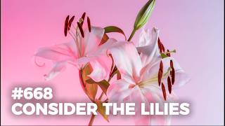 #668 - Consider the Lilies