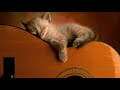 Ultimate Relaxing Guitar Music Collection   #playlist