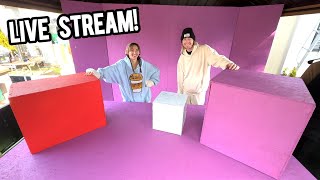 Tuck X Sammie New Years Auction FULL STREAM! - YouTube