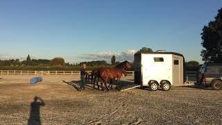 Trailer loading at liberty