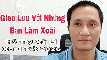 Hỗ Trợ Xử Lí Xoài Tết 2026 |™VTK.CHANNEL