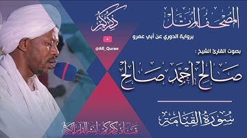 075 سورة القيامة Surat ALKeiama | صالح احمد صالح Salih Ahmed Salih