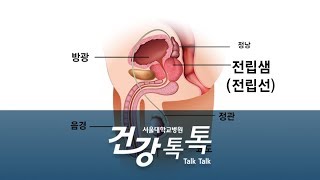 정창욱 교수's Health Talk - 전립선암의 원인과 위험인자 screenshot 5