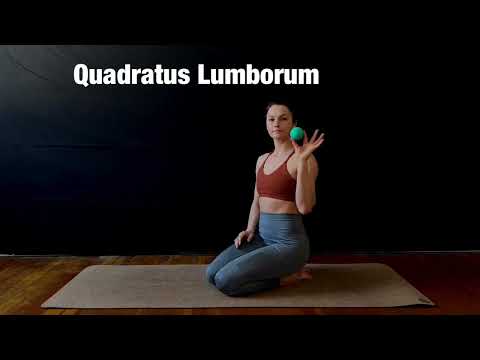 Quadratus Lumborum
