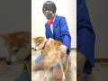 名探偵コナンに影響されすぎた飼い主。#shorts