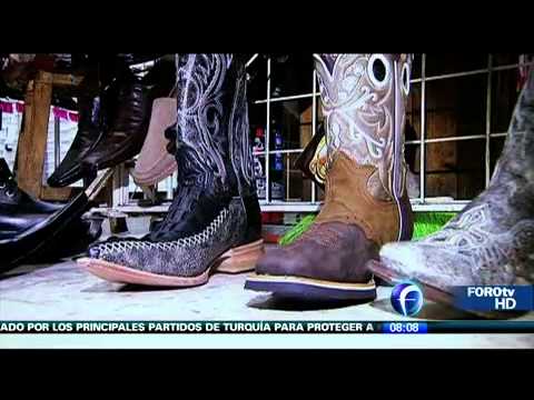 Video: Zapato Infusoria: Estructura Y Métodos De Reproducción
