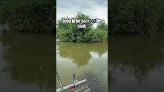 #fishing #carp #fish #fyp #trending