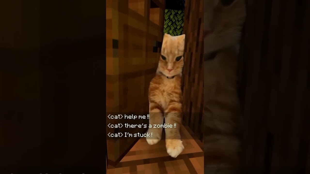😹How long can a cat survive in Minecraft? | funny Minecraft cat compilation 