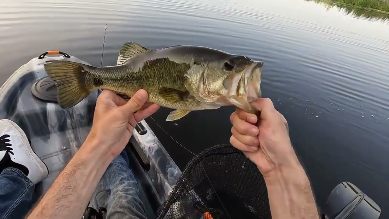 Peaceful Morning Bass Fishing – Just Me, the Lake, and Topwater Action
