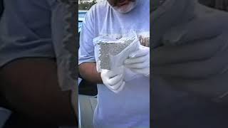 Drug Syndicate Busted in Undercover Police Sting | Drug Lords