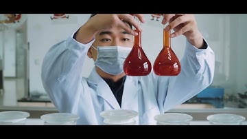 The Whole Process of Dyeing Lab Dips in Tiankun
