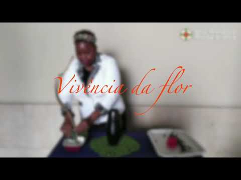 Vivência da flor