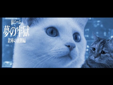 謎の牢獄から逃げ出す猫たちの物語 第27話【猫ミーム】