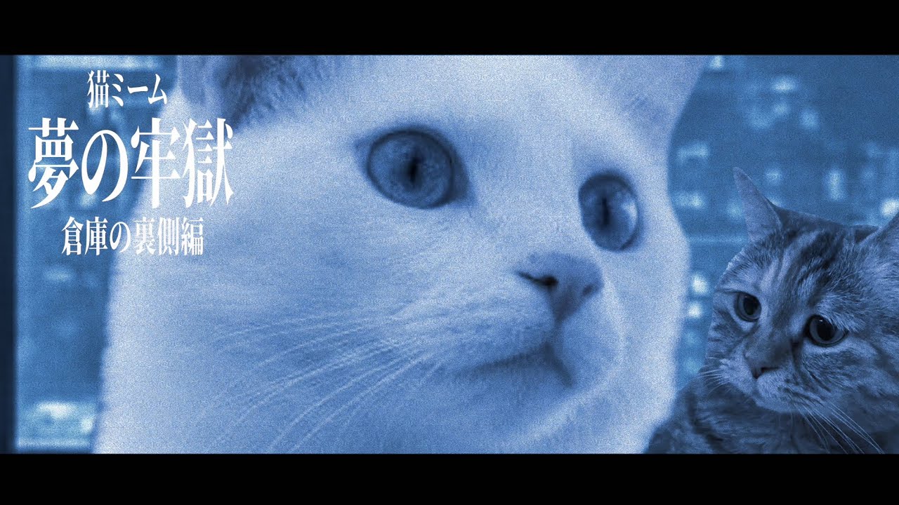 謎の牢獄から逃げ出す猫たちの物語 第27話【猫ミーム】