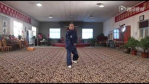 Wu Xing Quan (五行拳), Song Style Xingyi Quan (宋氏形意拳), Hao Shaohua