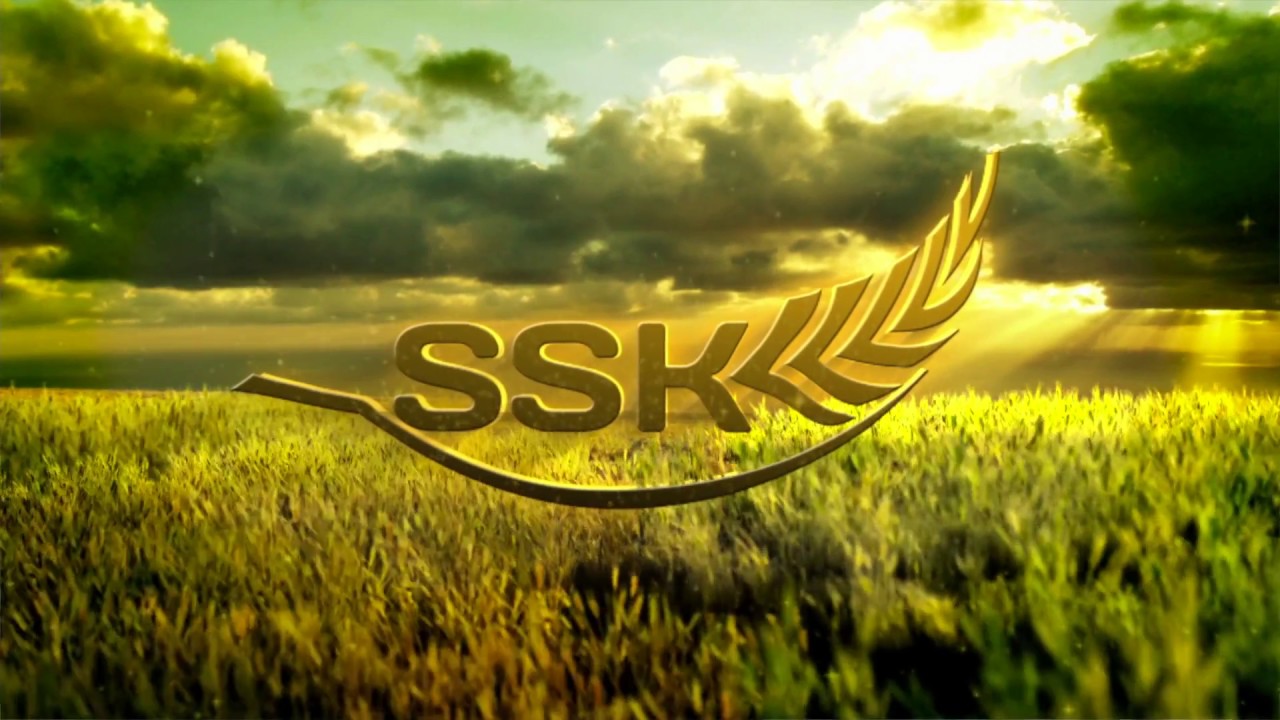 SAP Business One SSK HD
