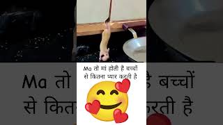 मां का प्यार #sad #lifeisbutadream #whowillbemylifepartnerta #truedialogue #rajpalyadavmemes #c