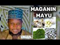Maganin Mayu Daga Sarkin Mayu 