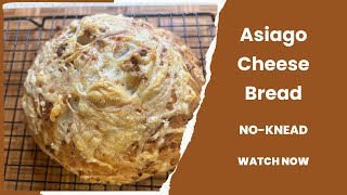 No-Knead Asiago Cheese Bread