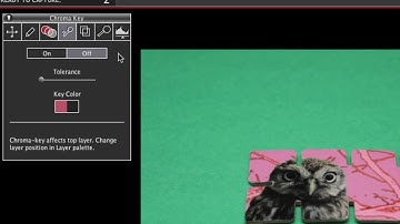 Dragonframe 3 Tutorial - Chroma Key