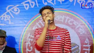 পাখিরে তুই  দূরে থাকলে | pakhi re Tui dhure Takle | Emon Hossen Babu | Bangla Covers Song 2022