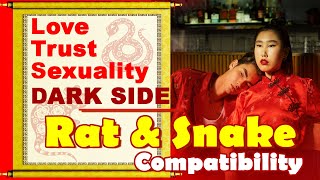 Rat and Snake Compatibility in Love, Life, Trust, and Intimacy | Rat & Snake Chinese Zodiac Compat Net Worth
