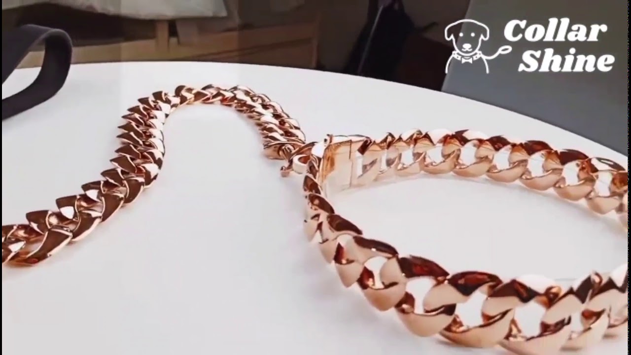 Rose Gold Dog Collar And Leash Rose Cuban link dog chain
