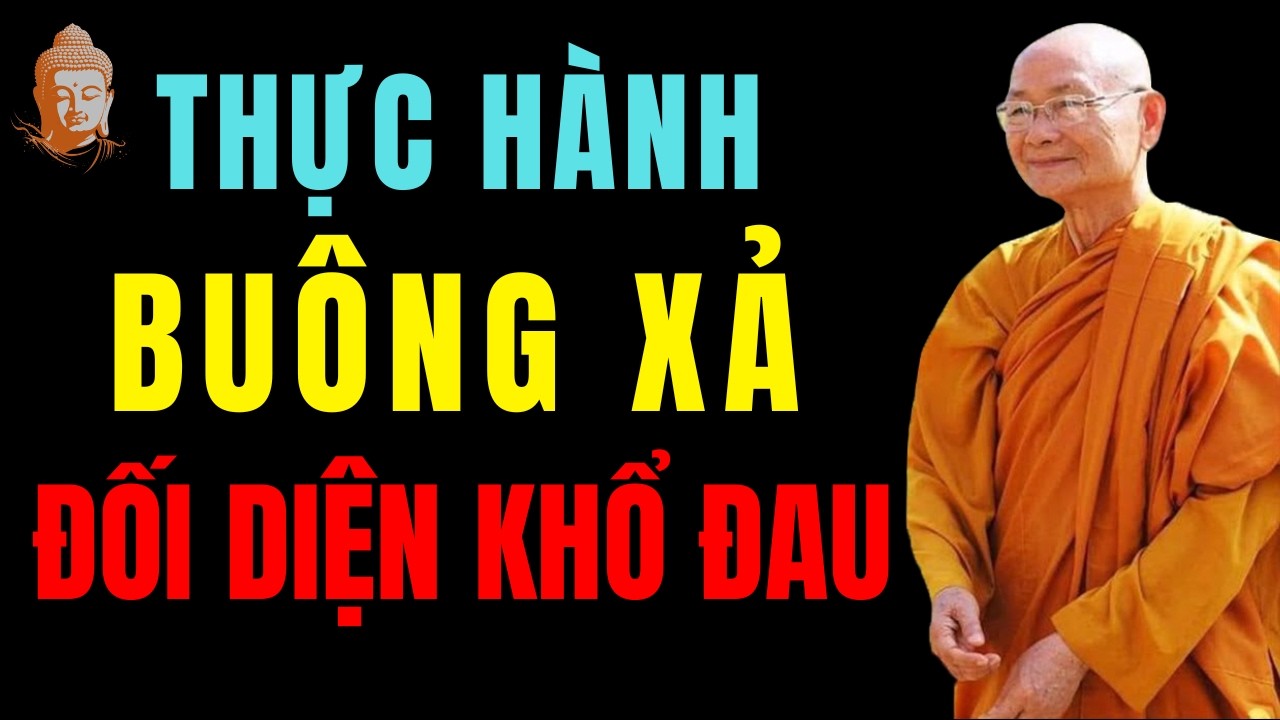 Thực Hành Buông Xả, Đối Diện Khổ Đau và Cái Thấy Như Thực | HT  Viên Minh