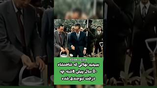 نهالی که شاه کاشت هیچگاه از بین نخواهد رفت