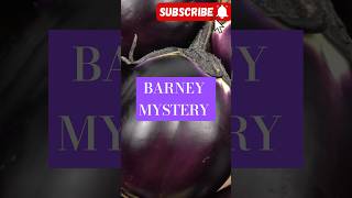 Why is Barney Purple? The Mystery Unveiled!🦖