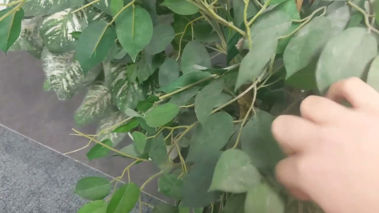 lofi ASMR walking through office hallway