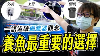 養死魚是因為你挑錯了'這個' Before you buy fish, find out what kind of filter it is suitable for by AC草影水族 34,889 views 1 month ago 10 minutes, 10 seconds