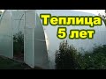 Теплица из поликарбоната – 5 лет эксплуатации. Обзор и отзыв