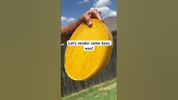 How to render bees wax after harvesting! #beeswax #beeswaxcandles #beekeeping #howto