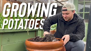 Growing Potatoes ? What You Need To Know || Visit Our Garden