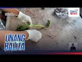 Droga na isiniksik sa kangkong at ipupuslit umano sa kulungan, bistado; 17-anyos... | Unang Balita