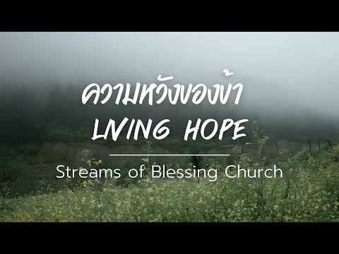ความหวังของข้า (Living Hope) Thai - ทีมนมัสการ สายธารพระพร