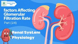 Factors Affecting Glomerular Filtration Rate (GFR) | part (1/4) | Renal Physiology Made Easy